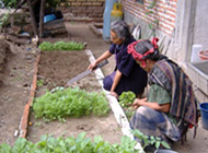 Bidauu arte textil oaxaqueño