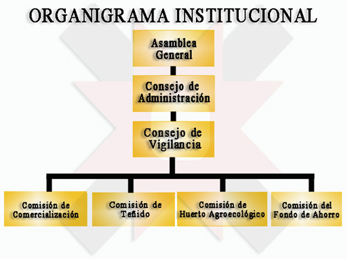 organigrama de Biidauu